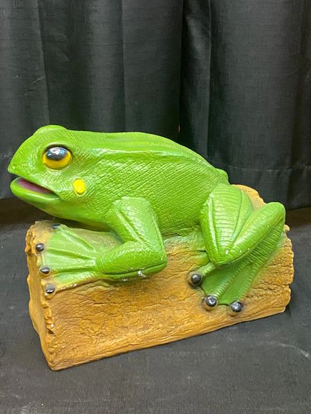 Medium Frog on the Log