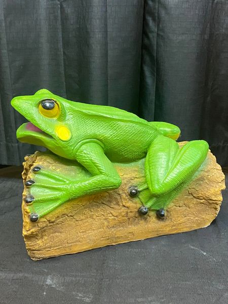 Large Frog on the Log