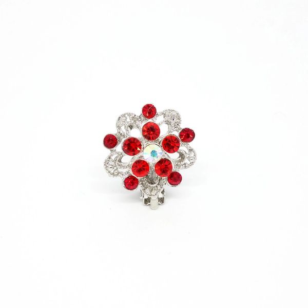 Red Crystal Starburst Fake VCH Piercing Clit Jewelry Clit Clip | Under ...