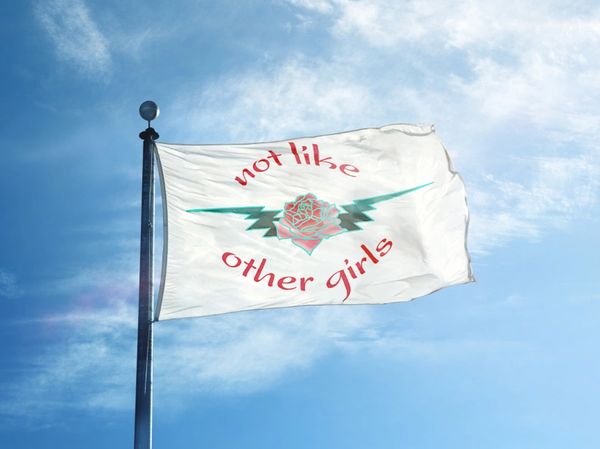 Not Like Other Girls Flag Scarlet Begonias Tour Banner