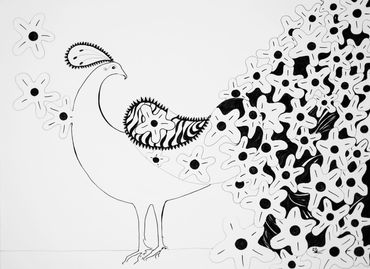 Peacok drawn in pen and ink on 300gms wt paper. Peacock