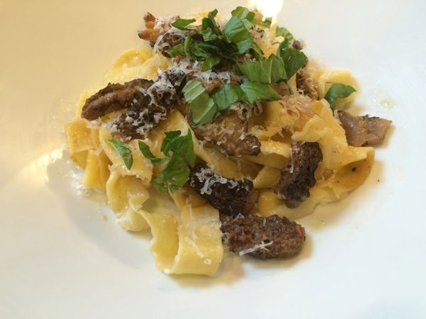Previous Menu Item: Fresh Pasta Primavera with Wild Morel Mushrooms ($14 Per Person / Cook by Day: Monday)
