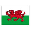 Wales Flag - 12x18