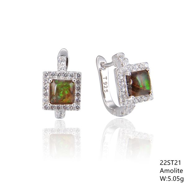 Ammolite,Silver Franch back Earrings , 22ST21