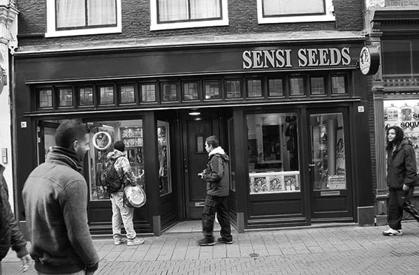 Seeds365.com