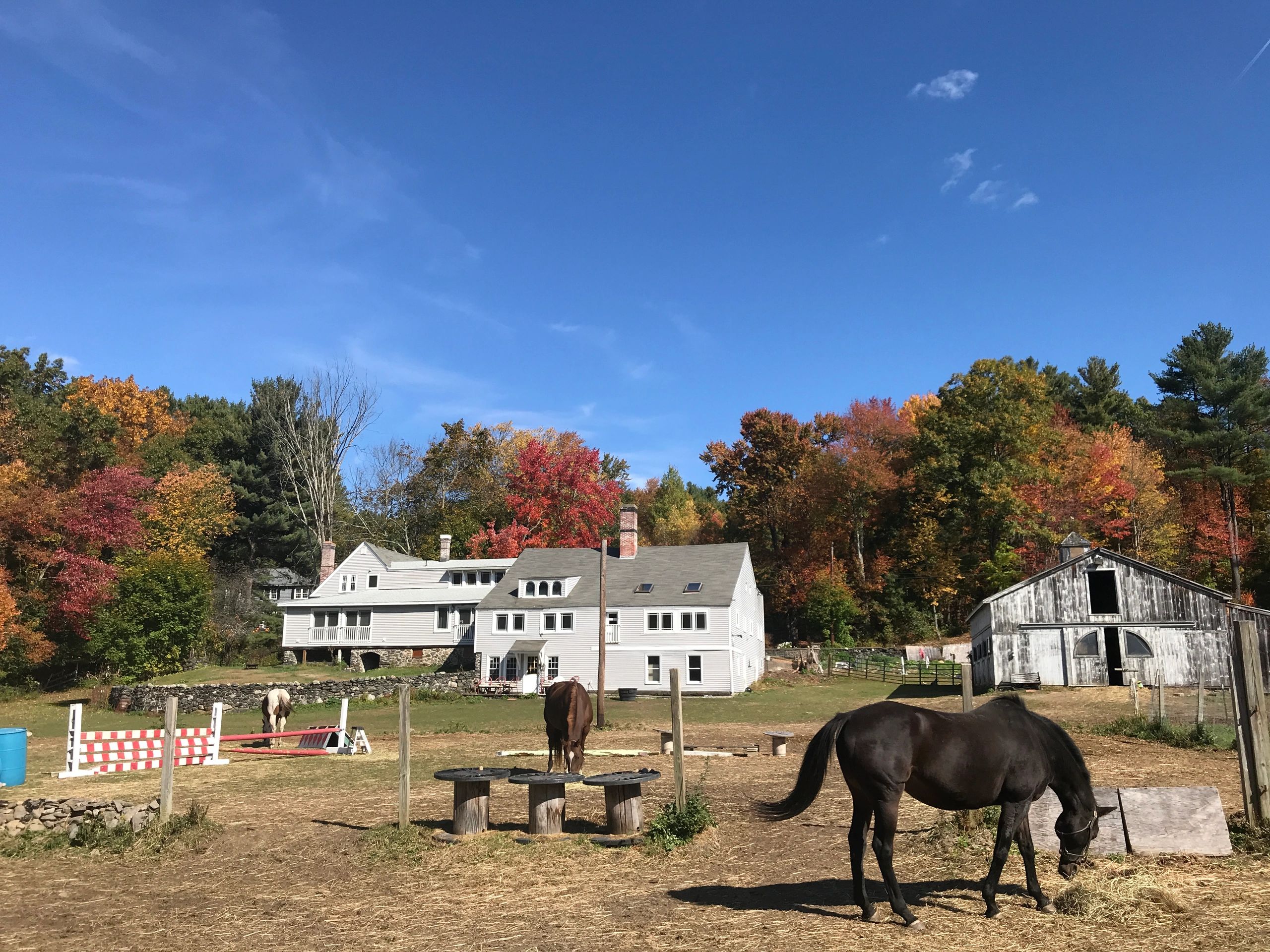 Horseback Riding Lessons Davis Acres Equestrian facility