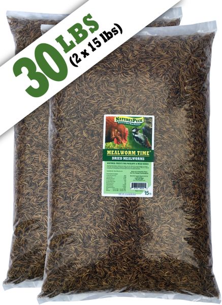 Mealworm Time® Dried Mealworms 30 lbs.