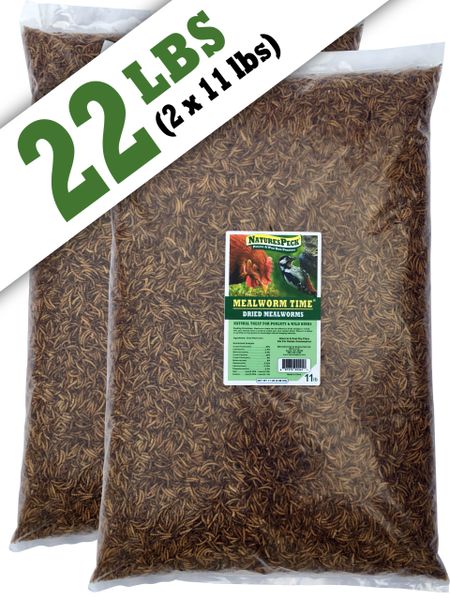 Mealworm Time® Dried Mealworms 22lbs. Out of stock until May 7th