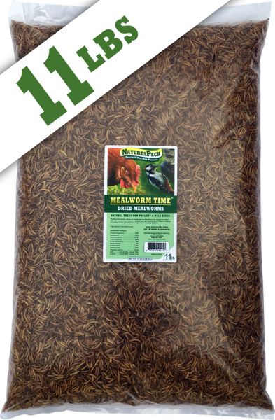 Mealworm Time® Dried Mealworms 11 lbs. Out of stock until May 7th