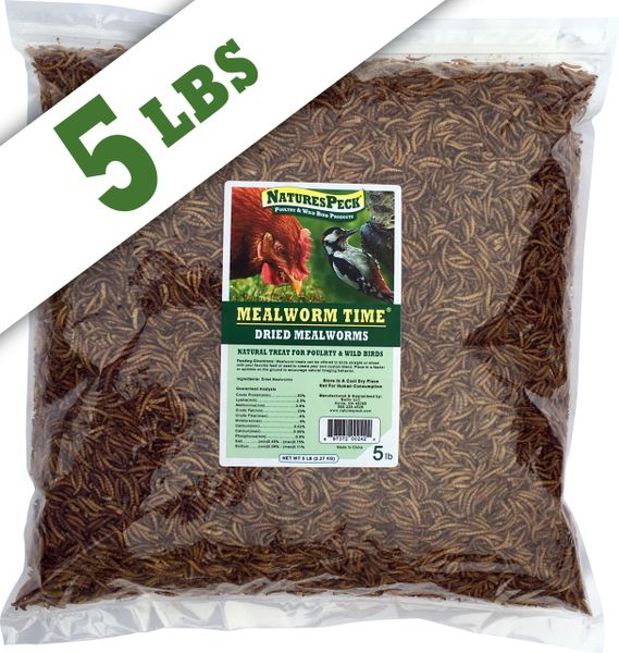 Mealworm Time® Dried Mealworms - 5lbs