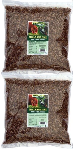 10 lbs-Dried Mealworms, Mealworm Time® (2 x 5 lbs.)