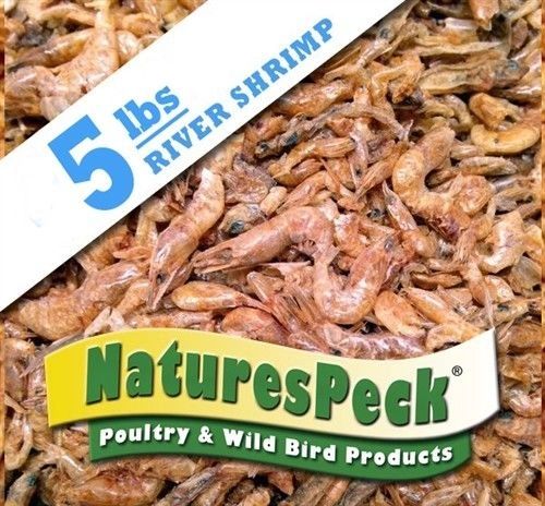 Dried River Shrimp - 5 lb Bag