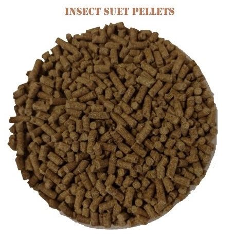 NEW! Peck 'A' Bites Veggie Suet Pellets (Insects)