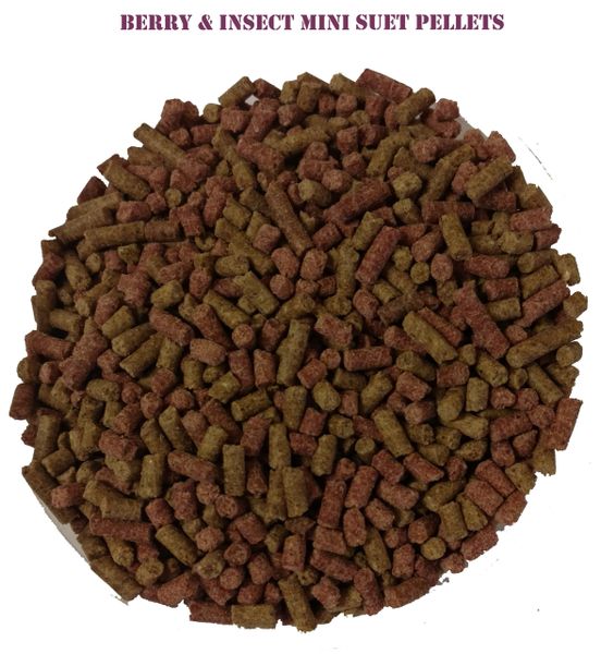 Peck 'A' Bites Mixed Berry & Insects Suet Pellets(veggie suet