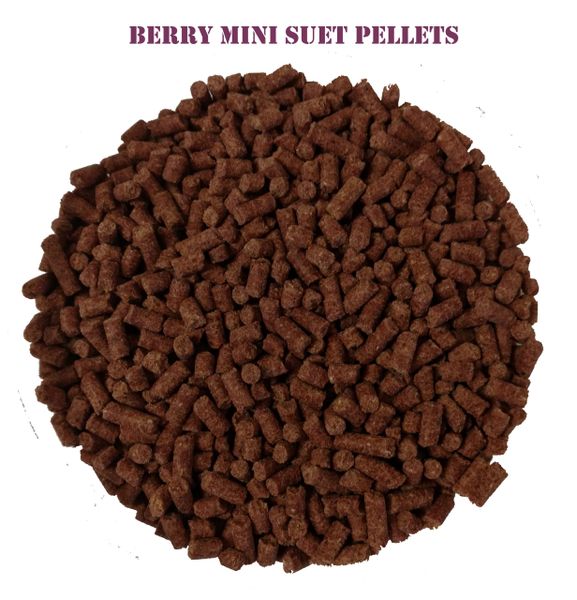 Peck 'A' Bites Insects Suet Pellets 11 lbs