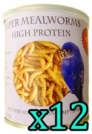 Super Mealworms Canned/ case of 12 cans (2.04oz.)each