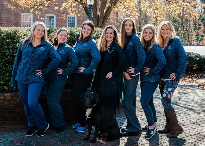 Cornerstone Pediatrics Pediatrician Chesapeake, Virginia