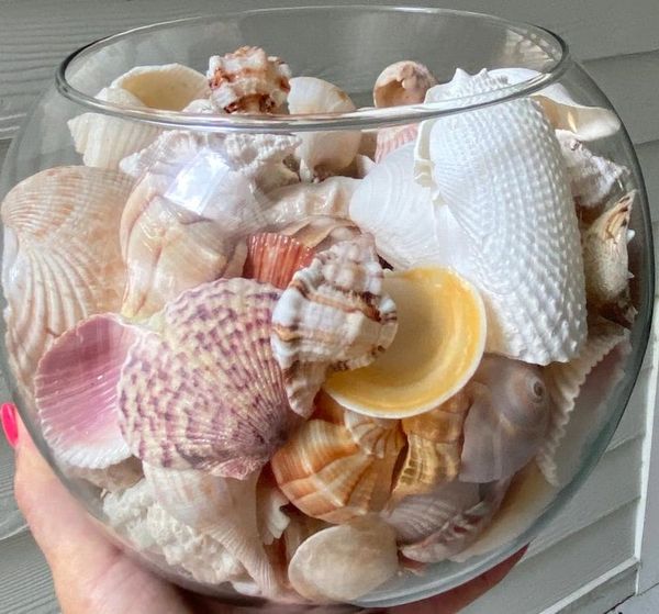  Seashell Centerpieces For Tables