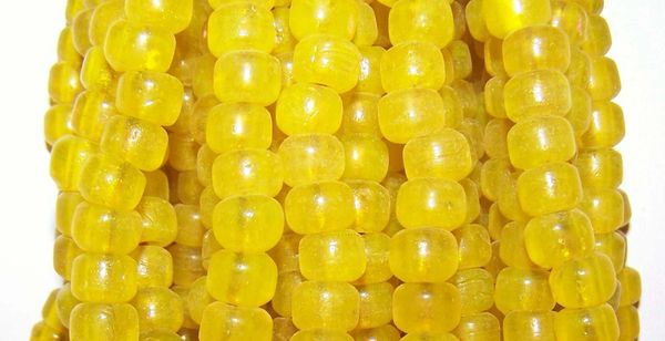 Crow Beads - Translucent Yellow