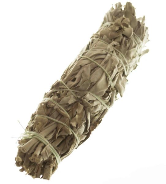 Large Dried White Sage Smudge Stick