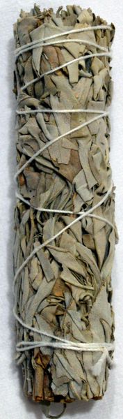 Medium Dried White Sage Smudge Stick