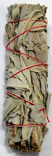 Small Dried White Sage Smudge Stick