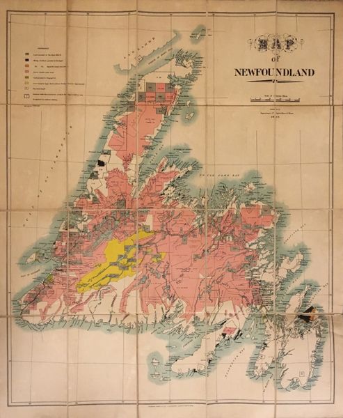 Map of Newfoundland.