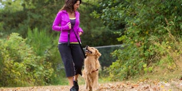 Dog walker with dog on leash