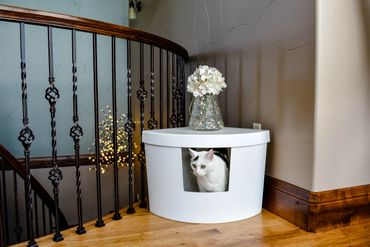 A cat litter box that is furniture in your home.