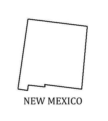 PANCAKE DIE ST047 STATE NEW MEXICO