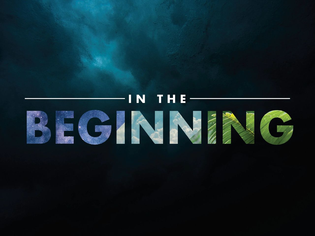 In the Beginning: What Really Happened