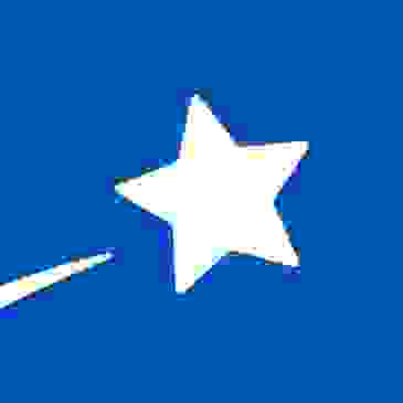 Make A Wish Logo