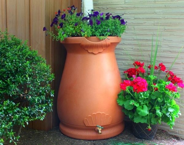 Rain Collecting Planter