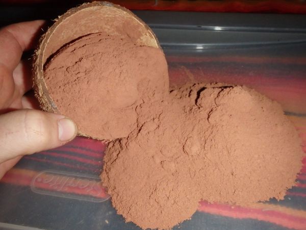 Hawaiian Acacia Confusa 100% Root Bark Powder-All Natural ...