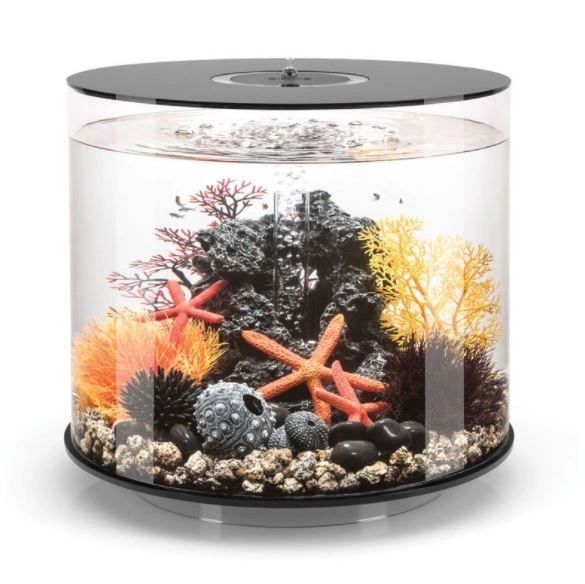 Biorb Tube 15 Aquarium With Mcr Led Black 45944 Oase Store Com