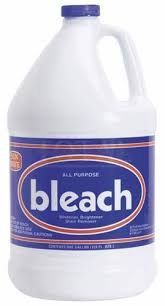 Bleach - 1 Gallon