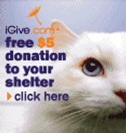 Igive