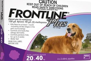 Frontline large hotsell dog 3 pack