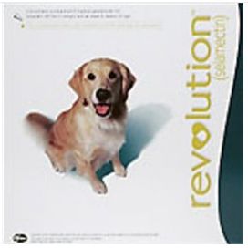 Revolution Dog Large 20-40kg | Online vet supplies