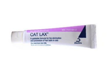 Cat 2025 lax paste