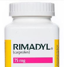 Rimadyl chewables 2024