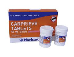 Carprieve 20mg for dogs side sale effects