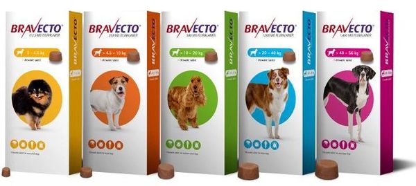 Bravecto nz hotsell