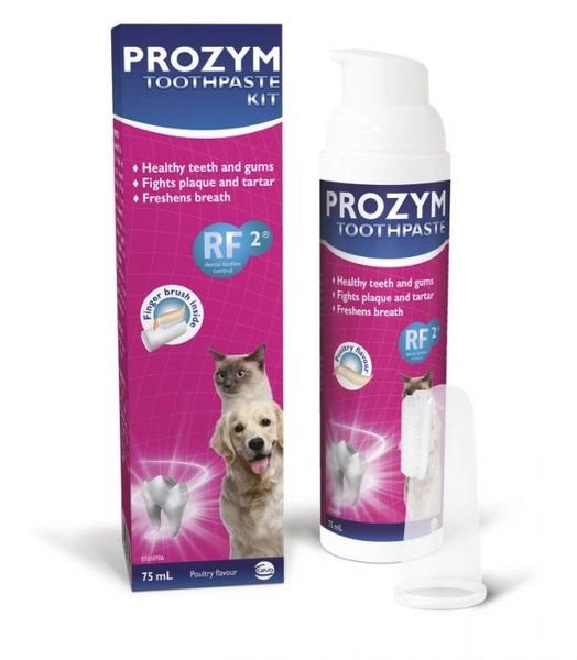 Prozyme for 2025 dogs teeth