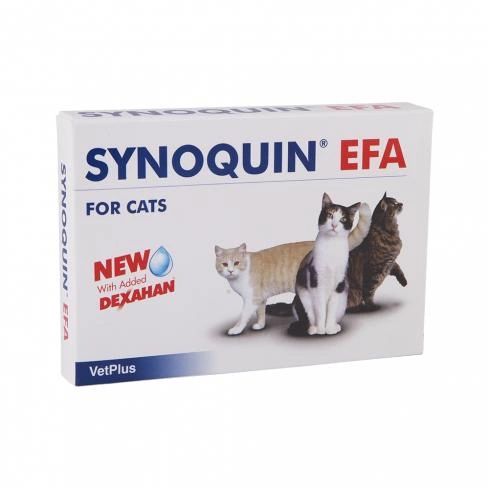 Synoquin store for cats