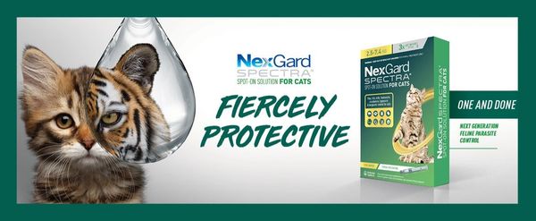 Nexgard best sale chewables cats