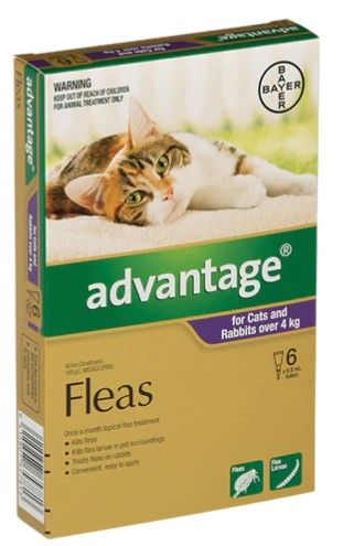 Buy advantage shop for cats online