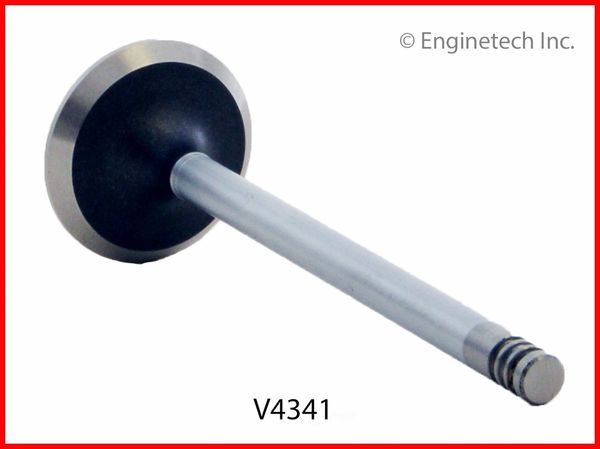 Valve - Exhaust (EngineTech V4341) 99-06