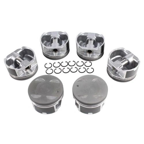 Piston Set (DNJ P953) 04-10