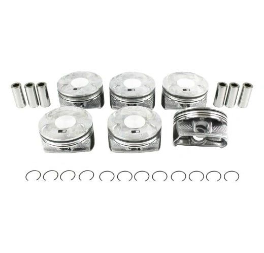 Piston Set (DNJ P1169) 11-17